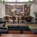 にゃんこの森横浜