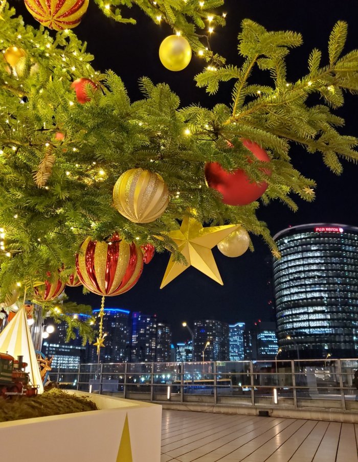 ハウスからすぐのクリスマスツリー☆
キラッキラな横浜です(*´▽`*)