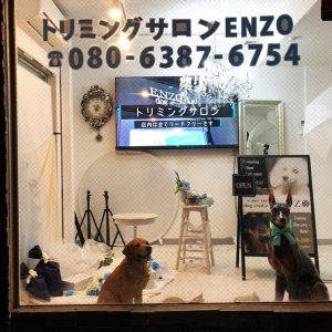 わん・にゃん大満足シェアハウス
広々、施設充実、
トリミング、しつけ、ホテル、カフェetc.
スタッフ同時募集ですので、住込の方は、家賃無料です。
独立も応援します。
詳しくは→
http://eq-room.com/