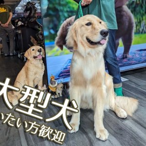 大型犬もお連れ頂けます!
