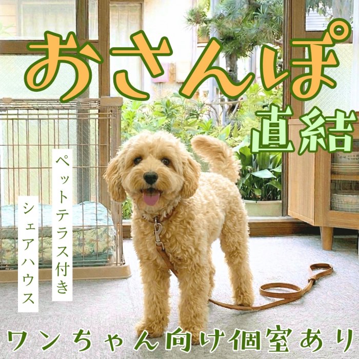 ワンちゃんオーナーの入居者様には、お庭と直結の1階個室がおすすめ🐶
お庭にある人工木ドックランで遊ばせたり、近所の公園や海沿いの道をお散歩したり🐾たっぷり遊んで汚れたら、ペット用温水シャワーで足を洗って、テラスからそのままお部屋に入れます。
※お庭は絶賛改装工事中!(5月頃完成予定)完成次第、お写真を公開します📷️
個室の床材には、ワンちゃんの足に優しく汚れた部分を取り替え可能なタイルカーペットを使用しています。