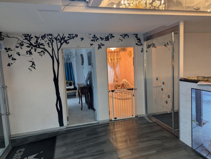 帰ってくるのが楽しくなります。