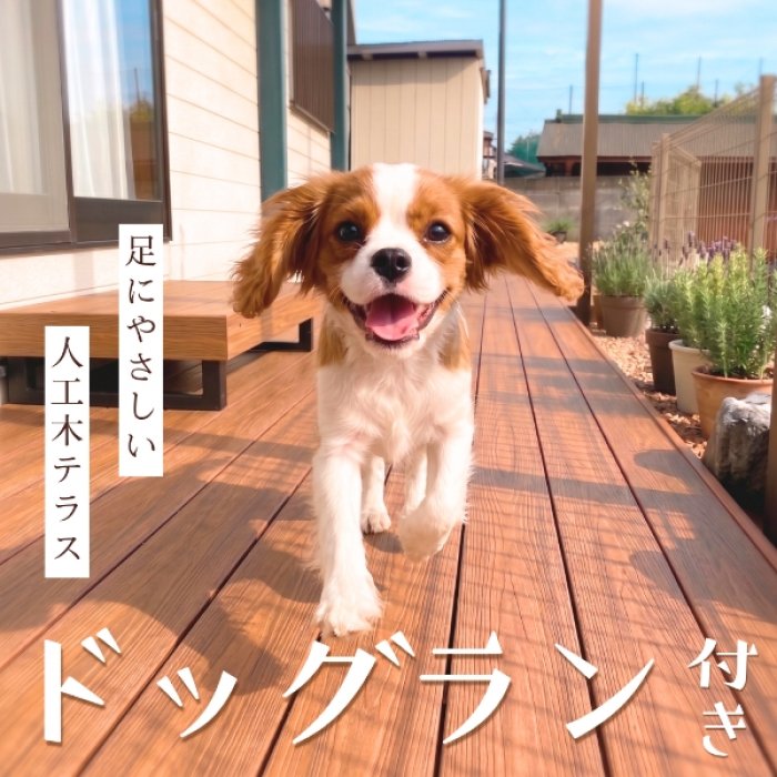 ドッグラン付き!足にやさしい人工木テラスのある、横須賀のペット共生型シェアハウス「しっぽテラス横須賀」です。
小型犬がのびのび走り回れる、滑りにくいウッドデッキを完備しています。
横須賀エリアで、愛犬の運動量やお散歩時間の確保が気になっている飼い主様へ。
当物件の人工木テラスは、天然木に比べてささくれが少なく安全。元気いっぱいの小型犬が走り回っても滑りにくいので関節への負担も抑えられます。
一般的なコンクリートと違い熱を持ちにくいので日中でも安心。土のお庭と比較しても足が汚れにくいので、外遊びがとっても気軽に!
また、お庭にはペット用温水シャワーもあるので、海沿いの道や公園等のお散歩帰りでも簡単に足を清潔にしておうちに入ることが可能です。
お散歩に行けない雨上がりや、ちょっとしたリフレッシュタイムに。自宅にいながらドッグラン気分を味わえる暮らしを始めてみませんか?
ペット可物件を探している方は、ぜひページ右上にあるクリップ🖇️をタップして、保存しておいてください!
※画像はイメージですが、実際のテラスもワンちゃんの足に配慮した人工木素材を使用しています
#横須賀ペット可 #ドッグランのある家 #小型犬のいる暮らし #しっぽテラス横須賀 #三浦半島