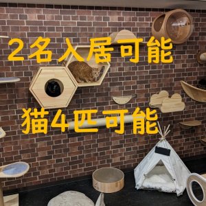 猫最大4匹まで一緒に入居できる12畳(20㎡)の広いお部屋で空室が発生しました!
カップル2名入居限定です。
シェアハウスでカップル+猫で入居できる大変貴重なお部屋です♪